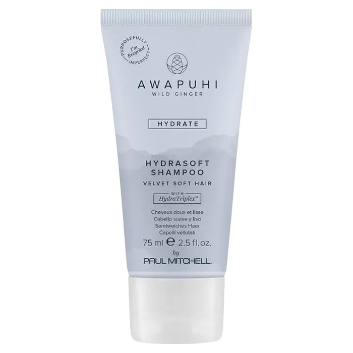Paul Mitchell Awapuhi Wild Ginger MirrorSmooth Shampoo Beauty Care