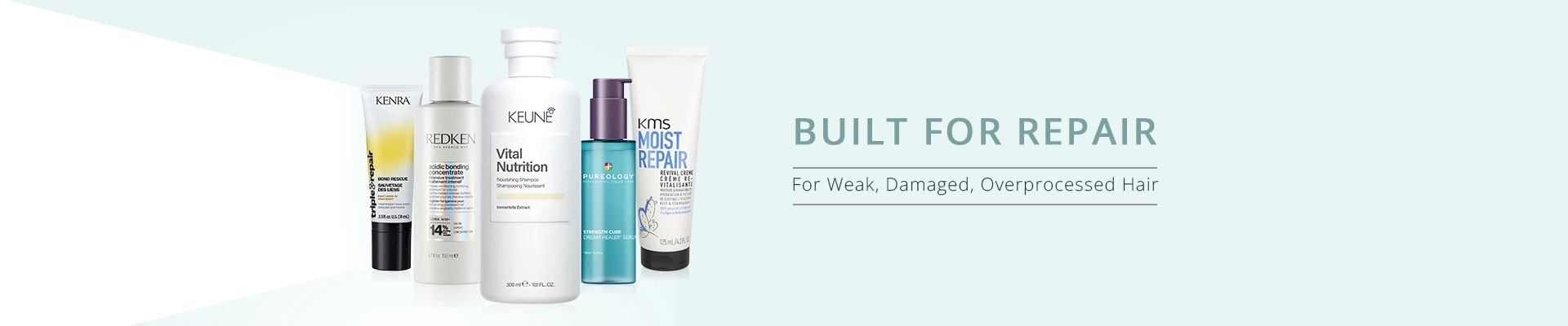 Built for Repair: Weak, Damaged, & Overprocessed Hair