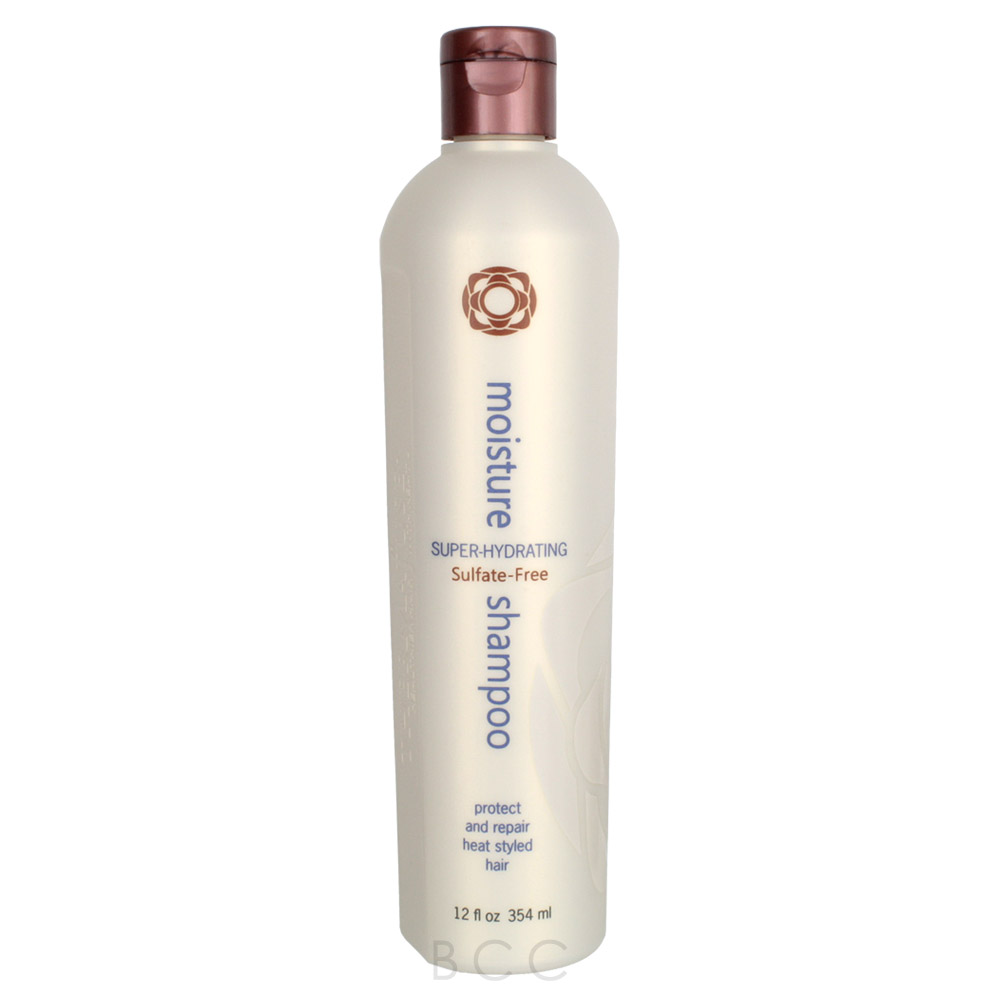 Thermafuse Moisture Shampoo 12 Oz Beauty Care Choices