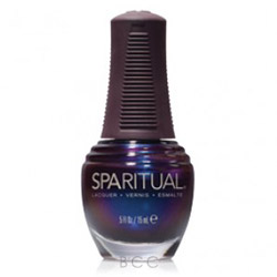SpaRitual Nail Lacquer - Health, Wealth & Happiness 0.5 oz (80391 096200003910) photo