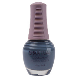SpaRitual Nourishing Vegan Color - Eternal Wellness 0.5 oz (80646 096200806467) photo