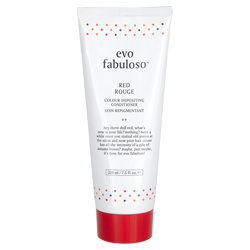 Evo Fabuloso Colour Intensifying Conditioner Purple Red (14054070 9349769002216) photo