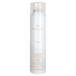 Paul Mitchell Awapuhi Wild Ginger Finishing Spray 9.1 oz (574262 009531117737) photo
