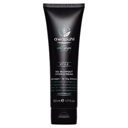 Paul Mitchell Awapuhi Wild Ginger No Blowout HydroCream 5.1 oz (578411 009531128412) photo