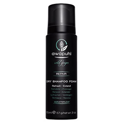 Paul Mitchell Awapuhi Wild Ginger Dry Shampoo Foam 5.6 oz (578413 009531128399) photo
