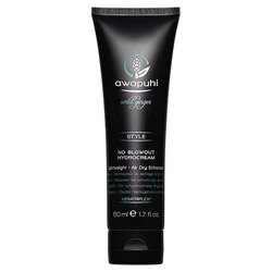 Paul Mitchell Awapuhi Wild Ginger No Blowout HydroCream 1.7 oz (578410 009531129433) photo