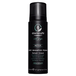 Paul Mitchell Awapuhi Wild Ginger Dry Shampoo Foam 2 oz (578412 009531129419) photo