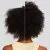 Paul Mitchell Clean Beauty Everyday Shampoo