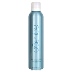 Aquage Dry Shampoo Style Extending Spray 8 oz (526532 671570000693) photo