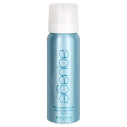 Aquage Dry Shampoo Style Extending Spray 2 oz (526531 671570119517) photo