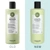 Maria Nila Structure Repair Shampoo 11.8oz