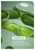 Biolage Color Last Holiday Trio