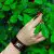 Miracle Fruit Oil VitaBrace High Performance Wristband
