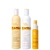 Milk_Shake Wrapped In Colour Care Holiday Trio