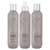 REDAVID Shea Butter Care Collection 3piece