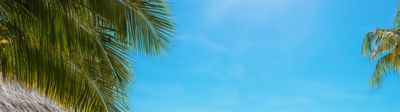 Cabana Cream banner