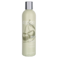 Abba Gentle Shampoo 8 oz (ABB618862550306 618862550306) photo