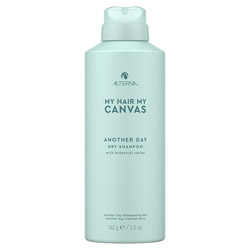 Alterna My Hair My Canvas Another Day Dry Shampoo 5 oz (2570336 873509029939) photo