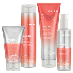 Joico Youth Lock Care Kit