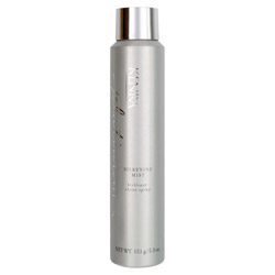 Kenra Professional Platinum Silkening Mist 5.3 oz (711012 014926188056) photo