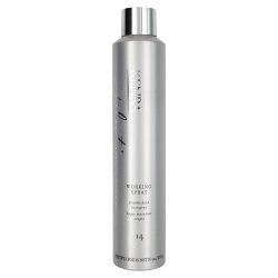 Kenra Professional Platinum Working Spray 14 10 oz (711599 014926064107) photo