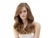 Framesi Morphosis Restructure Shampoo