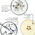 Framesi Morphosis Densifying Activator