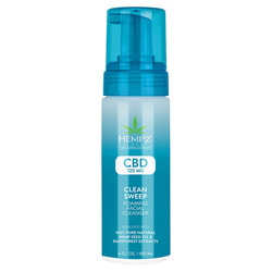 Hempz Clean Sweep CBD Foaming Facial Cleanser 120mg (PP075953 676280041783) photo