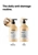 Loreal Professionnel Serie Expert Absolut Repair Holiday Set
